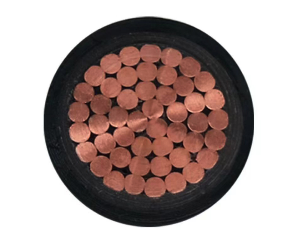 微信图片_202406111637421